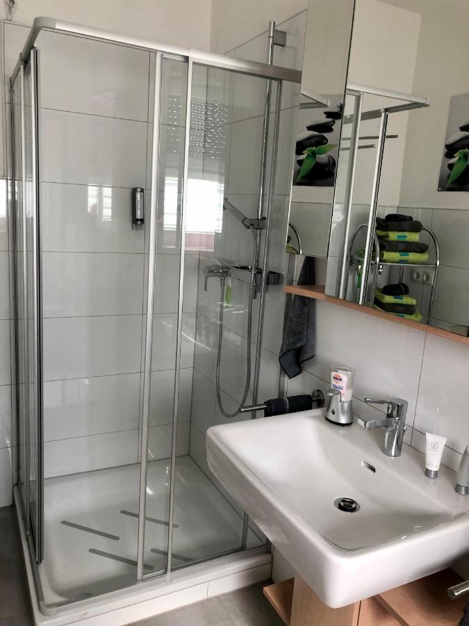 Apartment Oase- Kaiserslautern Bagian luar foto